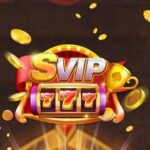 SVIP 777 APK