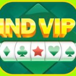 IND VIP APK